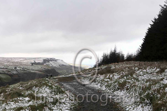 Glenariff Glen - IMG_9775-e