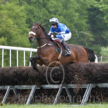 Court In Session , Winner, Jockey J J Codd -FT8E2342-e