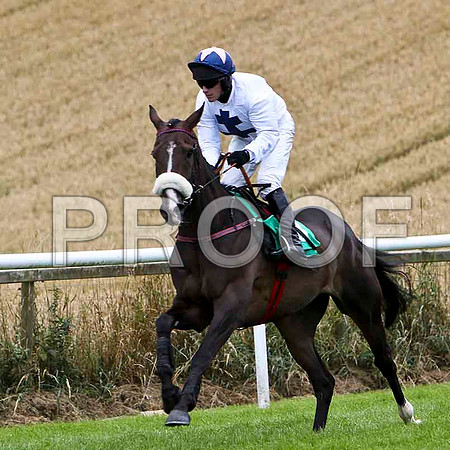Esporao - Winner  , Jockey Paul Carberry- FT8E3831-e