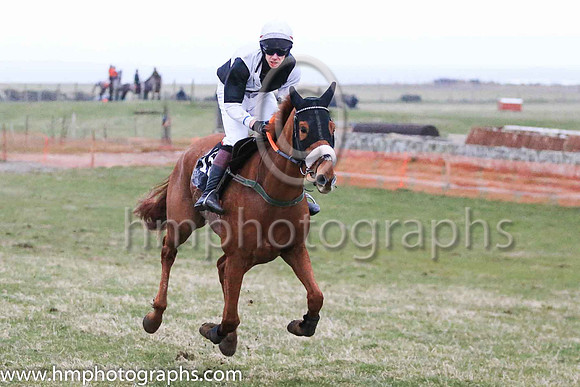 01st TARDREE and P G McGuigan ( 15 ,Antrim (H) - BLACK  WHITE QTD; black  white hlvd sleeves; white cap ) Trainer: Colin S. McKeever,, Owner : W.W. Dennison