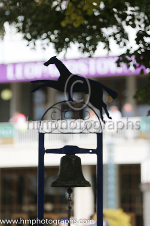 Irish Champion weekend at Leopardstown