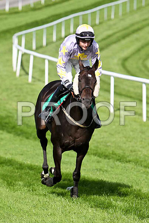 Ameno 7th, Jockey S W Jackson - CU2D1788-e
