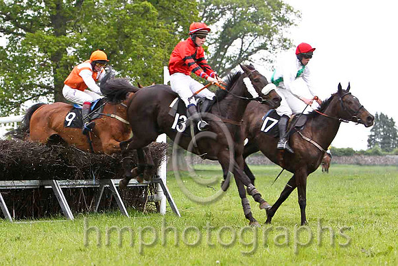 Nellie Rawley (13)  , PU, Jockey - S E O'Rourke &  So It Will Be (17)  , PU, Jockey - G M Mangan --FT8E2353-e