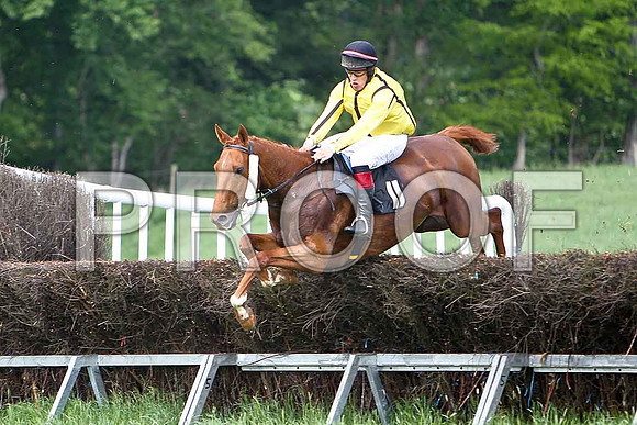 Fourth Race - Killyraw Molly (11) PU, Rider D A Treacy  - CU2D9615-e