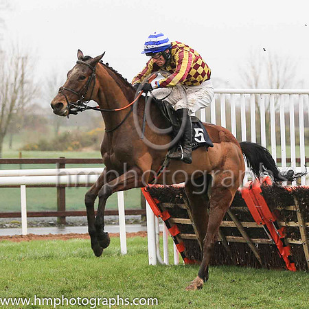02nd Double Jemmy and D J Mullins ( 5 , yellow and brown check ) Trainer - A J Martin , Owner - Givmefive Syndicate
