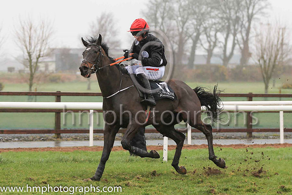 18th Deealli and C D Timmons 3 ( 17 , black, three white spots ) Trainer - Thomas Coyle , Owner - Miss Susan Barton