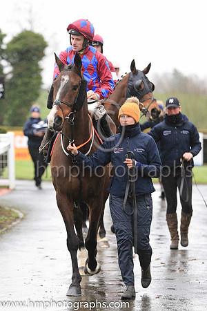 02nd Jury Duty and S W Flanagan ( 2 , purple, blue diamonds ) Trainer - G Elliott , Owner - Sideways Syndicate