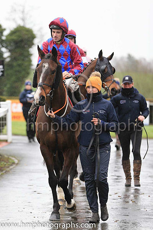 02nd Jury Duty and S W Flanagan ( 2 , purple, blue diamonds ) Trainer - G Elliott , Owner - Sideways Syndicate