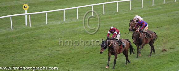 01st Monbeg Notorious and D F O'Regan ( 3 , maroon, white star ) Trainer - G Elliott , Owner - Gigginstown House Stud
