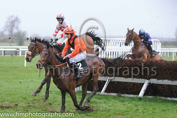 02nd Alpha Male and Mr P A King 7 ( 2 , beige, brown chevron ) Trainer - Peter Maher , Owner - Mrs V J Maher