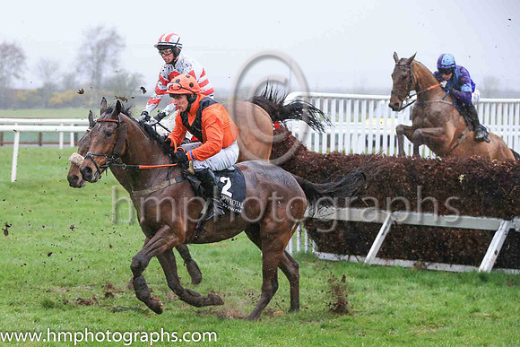 02nd Alpha Male and Mr P A King 7 ( 2 , beige, brown chevron ) Trainer - Peter Maher , Owner - Mrs V J Maher