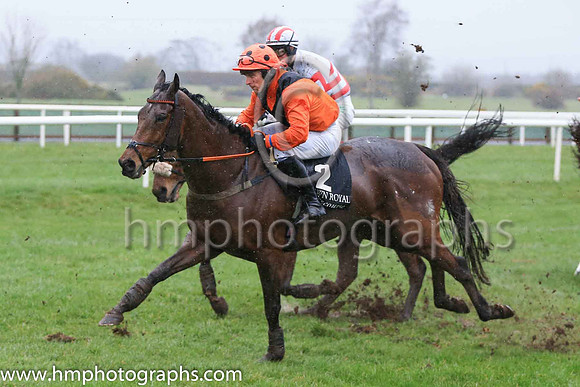 02nd Alpha Male and Mr P A King 7 ( 2 , beige, brown chevron ) Trainer - Peter Maher , Owner - Mrs V J Maher