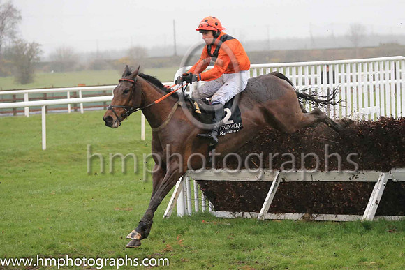 02nd Alpha Male and Mr P A King 7 ( 2 , beige, brown chevron ) Trainer - Peter Maher , Owner - Mrs V J Maher
