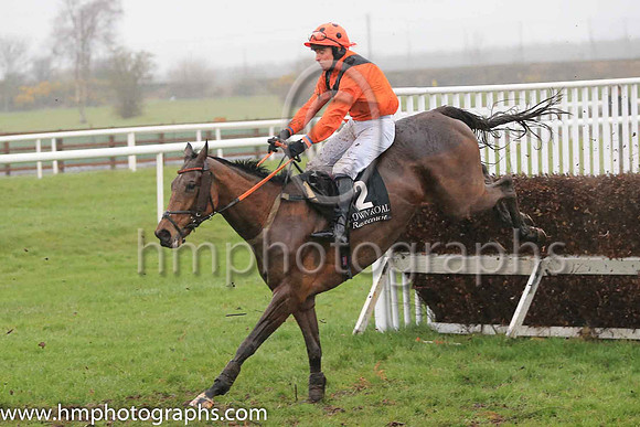 02nd Alpha Male and Mr P A King 7 ( 2 , beige, brown chevron ) Trainer - Peter Maher , Owner - Mrs V J Maher