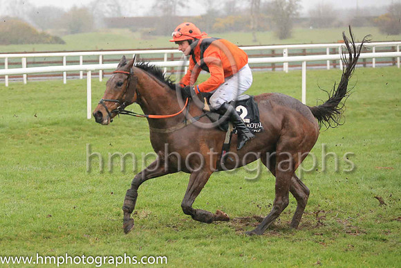 02nd Alpha Male and Mr P A King 7 ( 2 , beige, brown chevron ) Trainer - Peter Maher , Owner - Mrs V J Maher