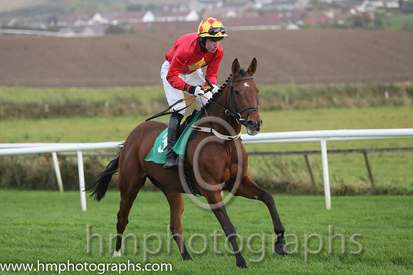 04 Urban Dusk and Mr M J Lynch - - 04th (3 ,Red, yellow diamond ) Trainer - M M Lynch