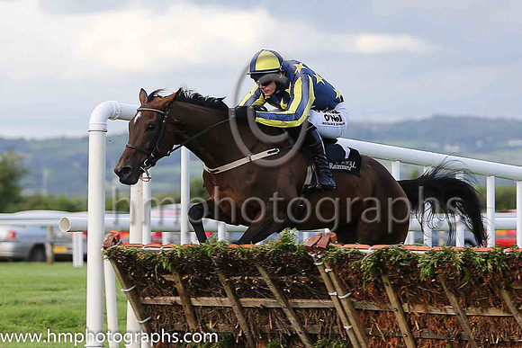 Bobarlee and Paul Townend (1, dark blue, yellow stars), trainer W P Mullins