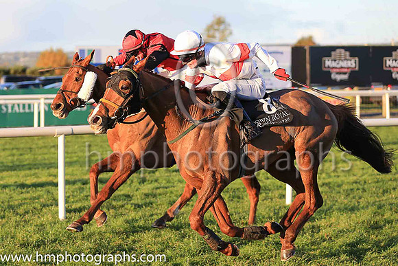 01st Tiger Sam and D Meyler ( 8 , white, red hoop ) Trainer - N Meade , Owner - Noel Meade