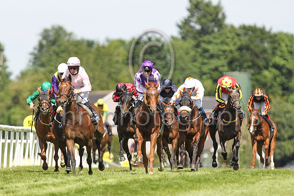 01st Iowa   and M C Hussey ( 13 , salmon ) Trainer - A P O Brien , Owner - Mrs John Magnier   Michael Tabor   Derrick Smith