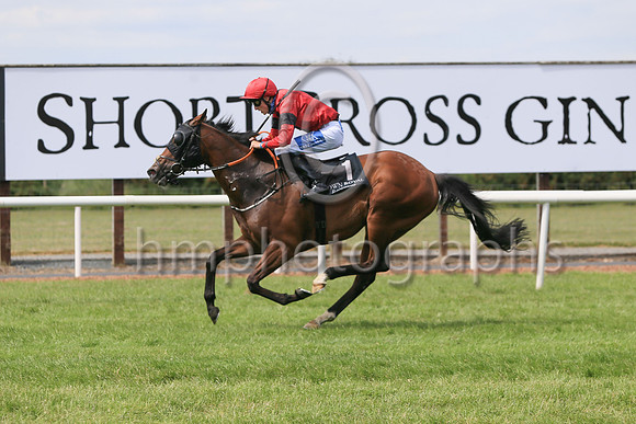 01st War Hero  and C J MacRedmond 7 ( 1 , red, black stripe ) Trainer - A McGuinness , Owner - Mark Devlin