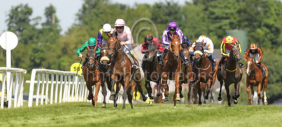 01st Iowa and M C Hussey ( 13 , salmon ) Trainer - A P O Brien , Owner - Mrs John Magnier Michael Tabor Derrick Smith - CU2D8413-Edit
