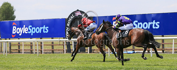 01st War Hero  and C J MacRedmond 7 ( 1 , red, black stripe ) Trainer - A McGuinness , Owner - Mark Devlin