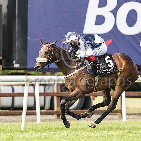01st Prime Chief  and D McMonagle 5 ( 5 , blue and white qtrs ) Trainer - J P Fahey , Owner - Miss C M Mills