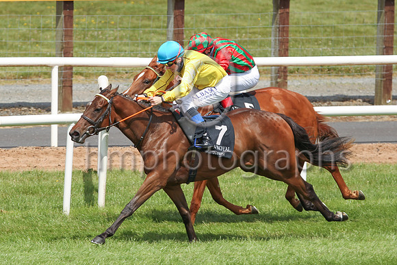 01st Cherry Bloom and C D Hayes ( 7 , yellow,light blue cap ) Trainer - W McCreery , Owner - Renzo Forni