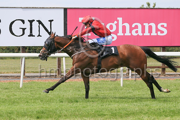01st War Hero  and C J MacRedmond 7 ( 1 , red, black stripe ) Trainer - A McGuinness , Owner - Mark Devlin