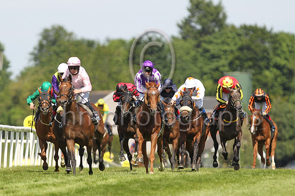 01st Iowa and M C Hussey ( 13 , salmon ) Trainer - A P O Brien , Owner - Mrs John Magnier Michael Tabor Derrick Smith - CU2D8414