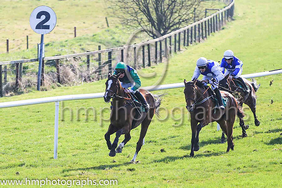 01st Barnaviddaun and D J Mullins ( 8 , blue, green star ) Trainer - T Mullins , Owner - Mrs L Graffin