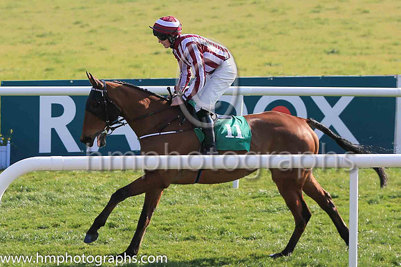 01st Benefit North and D F O'Regan ( 7 , white, yellow pane; ) Trainer - C A McBratney , Owner - Cathal M McGovern on the way to the start