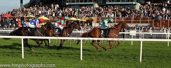 03rd Ah Fuhgeddaboudit and E.P. O'Brien(5) (1 ,blue, white stars ), Trainer:Denis Gerard Hogan , Owner:M. Fennessy Jnr.