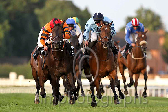 Windsor Pride & C D Hayes - Winner (12, Orange, Black star) - CU2D3437-e