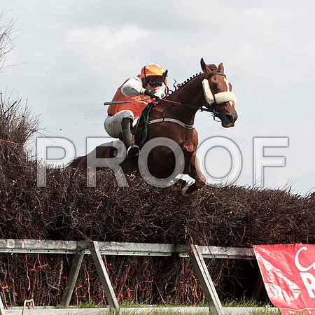 Bringbackthebeat , Winner, Jockey - J J Codd - CU2D4629-e