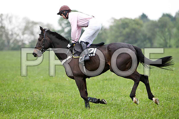 Obispo , 4th, Jockey - S F Magee - FT8E2399-e