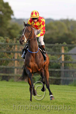 Rock of Hope & M A Cleere - 9th (10, yellow and red diamonds) - CU2D3399-e