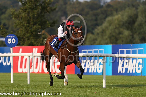 01 Free Eagle and P J Smullen - - 01st (7 ,black, white sleeves, red cap black star ) Trainer - D K Weld