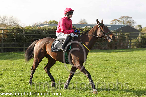 09 Didntitellya & P Townend - 9th (7, cerise ) - CU2D8805-3
