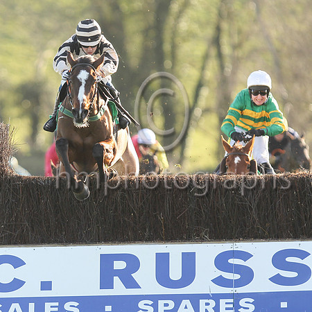 01st Springfield Lodge  and J C Gainford7 ( 13 , beige, black epaulettes ) Trainer - E OGrady , Owner - Falcon Four Syndicate