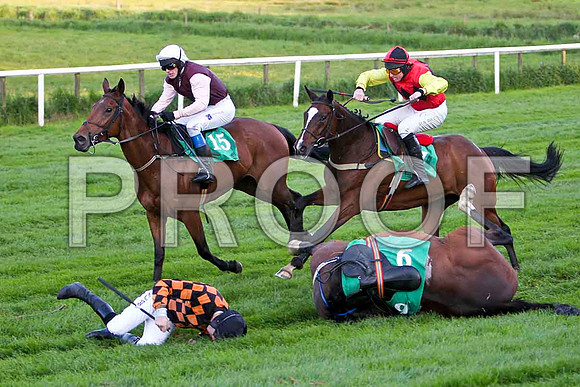 Mister Philson , Fell, Jockey Derek O'Connor - FT8E3215-e