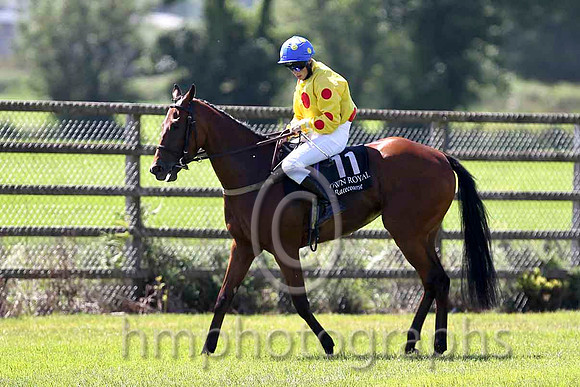 Cementry Lane 13th, Jockey B A Curtis- FT8E1265-e