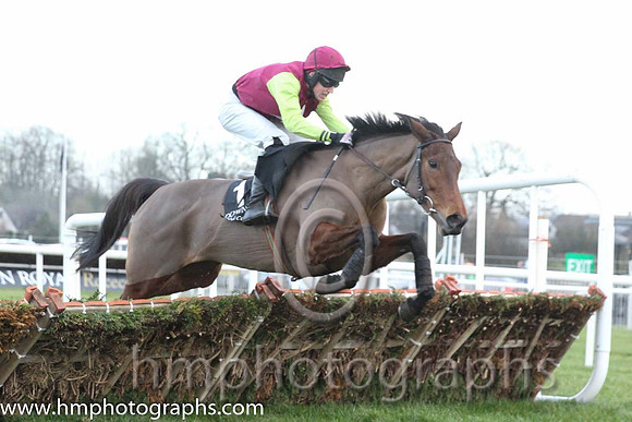 01 Royal Flight & J S McGarvey - winners (1, maroon, white star, green sleeves ) - CU2D0033-35