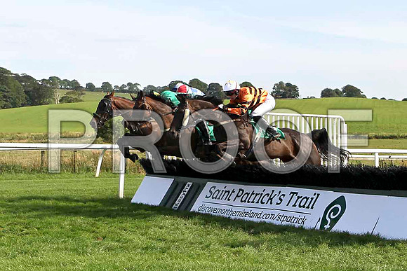 Mr Anderson 10th, JOckey S G McDermott - FT8E3094-e