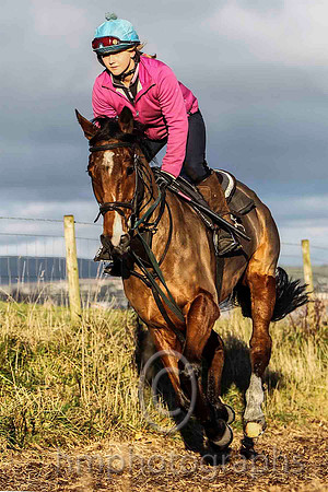 FT8E8969-e2