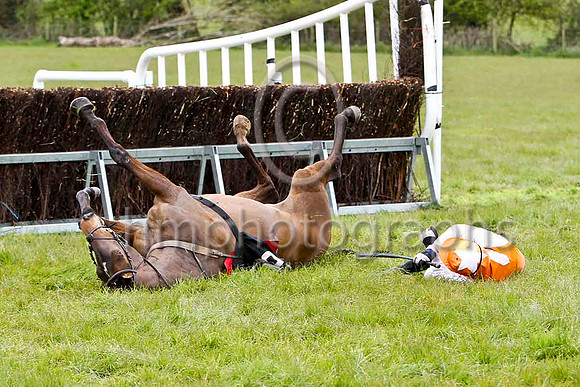 Baba Black Sheep (18) & B O Walsh - FFT8E1714-e