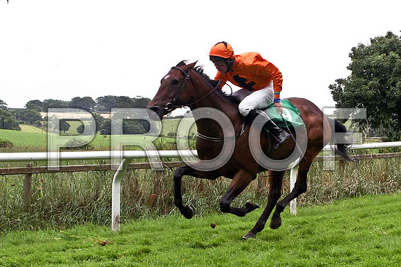 Oh So Gogo 5th, Jockey Mr C Fahy - IMG_0423-e