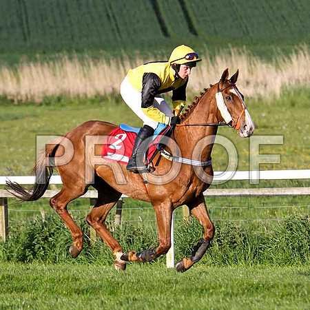 Ballito , U , Jockey Mr J Bolger -FT8E3062-e