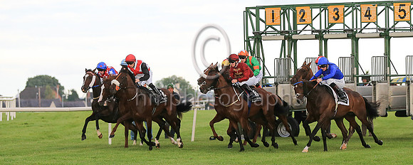 Start of her Majesty's Plate Stakes at Down Royal