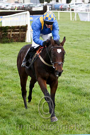 6 The Ring Is King & M Darcy - 6th (5, royal blue, yellow epaulettes) - FT8E7570-eb